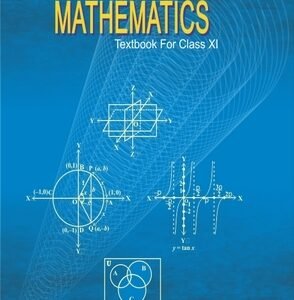 mathematics11