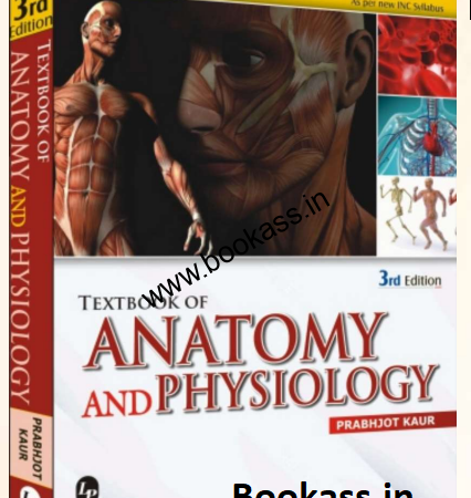 lpanatomy