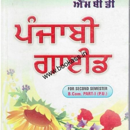 punjabiguide234