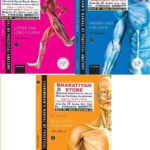Cunningham Manual of Practical Anatomy Volume 1 2 & 3 By R Koshi