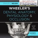 Wheeler'S Dental Anatomy, Physiology And Occlusion By Stanley J. Nelson | Elsevier