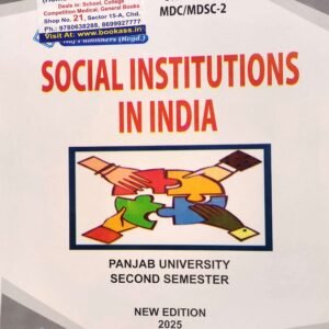 socialinstitutions