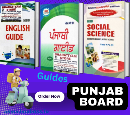 punjabboard