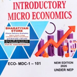 rajmicroeconomics