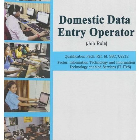 Domestic Data Entry (IT)
