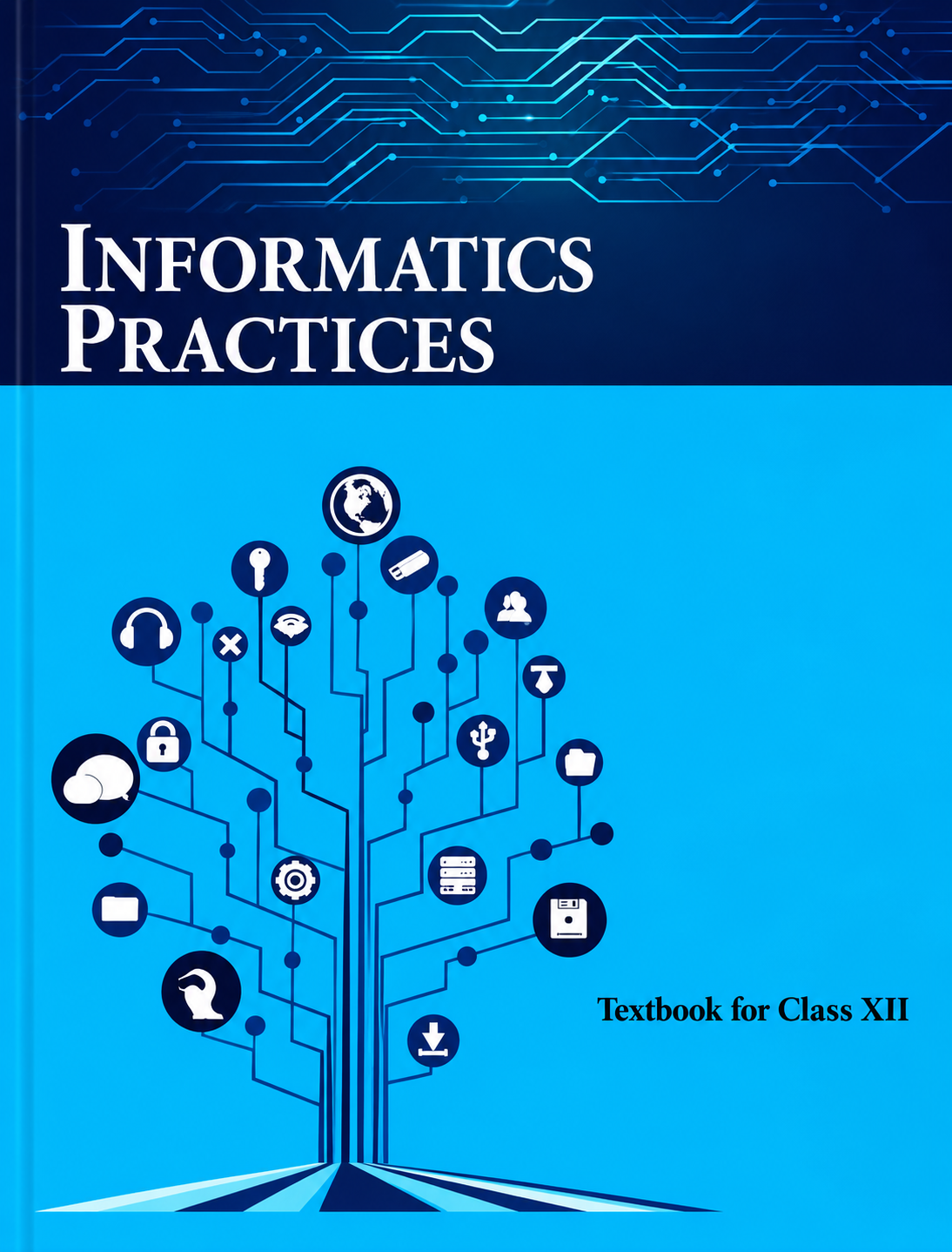Informatics Practices